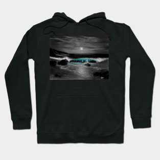 Hawaiian seascape t-shirt Hoodie